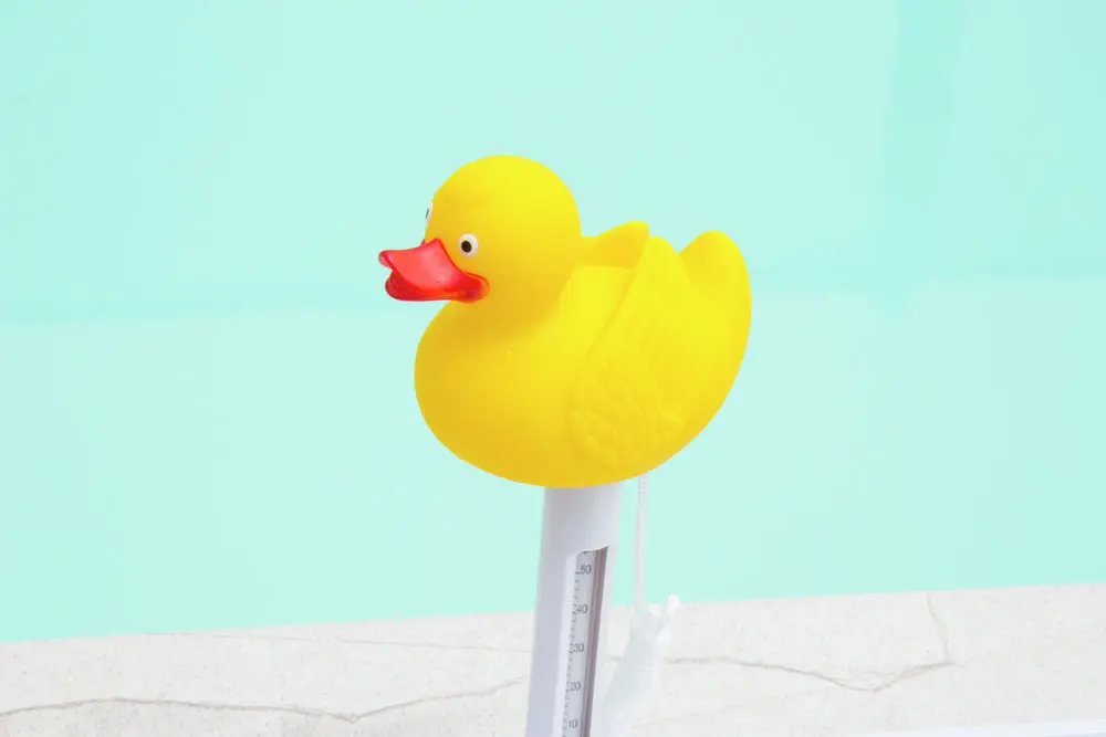 Termometru plutitor pentru piscina ( model Animale ) - imagine 5